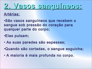 2. Vasos sanguíneos:
Artérias:
•São vasos sanguíneos que recebem o
sangue sob pressão do coração para
qualquer parte do corpo;
•Elas pulsam;
• As suas paredes são espessas;
•Quando são cortadas, o sangue esguicha;
• A maioria é mais profunda no corpo.

 