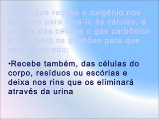 •O sangue recebe o oxigênio nos
pulmões para leva-lo às células, e
recebe das células o gás carbônico
e leva para os pulmões para que
seja eliminado;
•Recebe também, das células do
corpo, resíduos ou escórias e
deixa nos rins que os eliminará
através da urina;

 