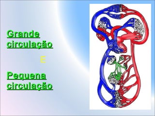Grande
circulação
E
Pequena
circulação

 