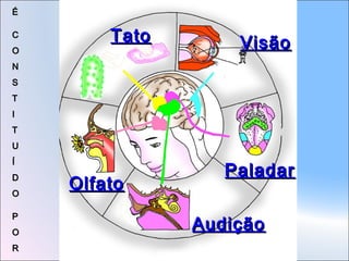 É
C
O

Tato

Visão

N
S
T
I
T
U
Í
D
O
P
O
R

Olfato

Paladar
Audição

 