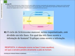 EXERCÍCIOS ESSENCIAIS

3
(Unicamp-SP)
Notícias recentes informam que, no Brasil, há mais de quatro milhões de pessoas contaminadas pela esquistossomose. A doença, que no século passado
era comum apenas nas zonas rurais do país, já atinge mais de 80% das áreas urbanas, sendo considerada pela Organização Mundial de Saúde uma das
doenças mais negligenciadas no mundo. A esquistossomose é causada pelo Schistosoma mansoni.

a) O ciclo do Schistosoma mansoni, acima esquematizado, está
dividido em três fases. Em qual das três fases ocorre a
infestação do homem? Explique como ocorre a infestação.

RESPOSTA: A infestação ocorre na fase 2 (meio aquático),
em que a cercária penetra ativamente a pele do homem.
DOENÇAS PARASITÁRIAS HUMANAS – NO VESTIBULAR

 