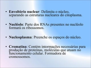 • Envoltório nuclear: Delimita o núcleo,
separando as estruturas nucleares do citoplasma.
• Nucléolo: Parte dos RNAs presentes no nucléolo
formará os ribossomos.
• Nucleoplasma: Preenche os espaços do núcleo.
• Cromatina: Contém intormações necessárias para
produção de proteínas, moléculas que atuam no
funcionamento celular. Formadora de
cromossomos.

 