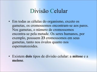 Divisão Celular
• Em todas as células do organismo, exceto os
gametas, os cromossomos encontram-se aos pares.
Nos gametas, o número de cromossomos
encontra-se pela metade. Os seres humanos, por
exemplo, possuem 23 cromossomos em seus
gametas, tanto nos óvulos quanto nos
espermatozoides.
• Existem dois tipos de divisão celular: a mitose e a
meiose.

 