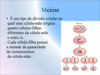 Meiose
• É um tipo de divisão celular na
qual uma célula-mãe origina
quatro células-filhas
diferentes da célula-mãe
e entre si.
Cada célula-filha possui
a metade da quantidade
de cromossomos
da célula-mãe.

 