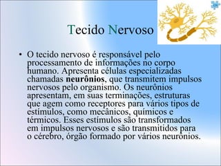 Tecido Nervoso
• O tecido nervoso é responsável pelo
processamento de informações no corpo
humano. Apresenta células especializadas
chamadas neurônios, que transmitem impulsos
nervosos pelo organismo. Os neurônios
apresentam, em suas terminações, estruturas
que agem como receptores para vários tipos de
estímulos, como mecânicos, químicos e
térmicos. Esses estímulos são transformados
em impulsos nervosos e são transmitidos para
o cérebro, órgão formado por vários neurônios.

 
