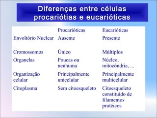 Diferenças entre células
procariótias e eucarióticas
Procarióticas

Eucarióticas

Envoltório Nuclear Ausente

Presente

Cromossomos

Único

Múltiplos

Organelas

Poucas ou
nenhuma

Núcleo,
mitocôndria, ...

Organização
celular

Principalmente
unicelular

Principalmente
multicelular

Citoplasma

Sem citoesqueleto

Citoesqueleto
constituído de
filamentos
protéicos

 