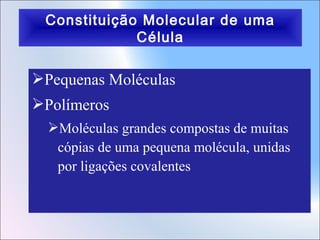 Constituição Molecular de uma
Célula

Pequenas Moléculas
Polímeros
Moléculas grandes compostas de muitas
cópias de uma pequena molécula, unidas
por ligações covalentes

 