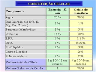 CONSTITUIÇÃO CELULAR

 
