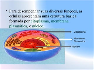 • Para desempenhar suas diversas funções, as
células apresentam uma estrutura básica
formada por citoplasma, membrana
plasmática, e núcleo.
1

Citoplasma
2

3

Membrana
Plasmática
Núcleo

 