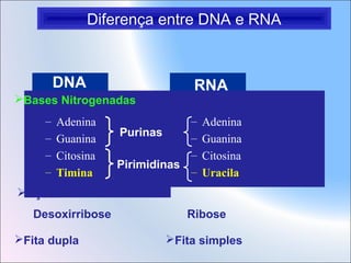 Diferença entre DNA e RNA

DNA
Bases Nitrogenadas
–
–
–
–

Adenina
Guanina
Citosina
Timina

RNA

–
Purinas
–
–
Pirimidinas
–

Adenina
Guanina
Citosina
Uracila

Açúcar
Desoxirribose
Fita dupla

Ribose
Fita simples

 