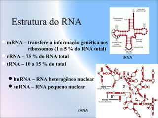 Estrutura do RNA
mRNA – transfere a informação genética aos
ribossomos (1 a 5 % do RNA total)
rRNA – 75 % do RNA total
tRNA – 10 a 15 % do total
hnRNA – RNA heterogêneo nuclear
snRNA – RNA pequeno nuclear

rRNA

tRNA

 