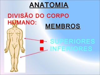 ANATOMIA
DIVISÃO DO CORPO
HUMANO:

MEMBROS
SUPERIORES
INFERIORES

 