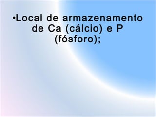 •Local de armazenamento
de Ca (cálcio) e P
(fósforo);

 