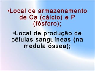 •Local de armazenamento
de Ca (cálcio) e P
(fósforo);
•Local de produção de
células sanguíneas (na
medula óssea);

 