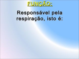 FUNÇÃO:
Responsável pela
respiração, isto é:

 