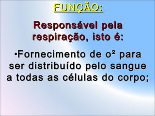 FUNÇÃO:
Responsável pela
respiração, isto é:
•Fornecimento de o² para
ser distribuído pelo sangue
a todas as células do corpo;

 