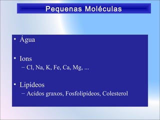 Pequenas Moléculas

• Água
• Ions
– Cl, Na, K, Fe, Ca, Mg, ...

• Lipídeos
– Acidos graxos, Fosfolipídeos, Colesterol

 