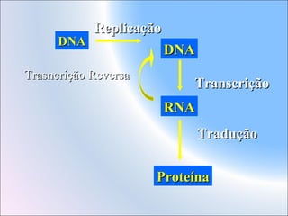 DNA

Replicação

Trasncrição Reversa

DNA
Transcrição
RNA
Tradução
Proteína

 