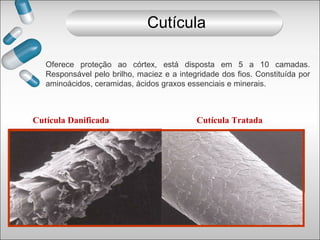 Oferece proteção ao córtex, está disposta em 5 a 10 camadas.
Responsável pelo brilho, maciez e a integridade dos fios. Constituída por
aminoácidos, ceramidas, ácidos graxos essenciais e minerais.
Cutícula Danificada Cutícula Tratada
Cutícula
 