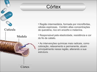 Cutícula
Medula
Córtex
• Região intermediária, formada por microfibrilas,
células espinosas. Contém altas concentrações
de queratina, rico em enxofre e melanina.
• Responsável pela elasticidade, resistência e cor
do fio de cabelo.
• As intervenções químicas mais radicais, como
coloração, relaxamento e permanente, atuam
principalmente nessa região, alterando a sua
estrutura.
Córtex
 
