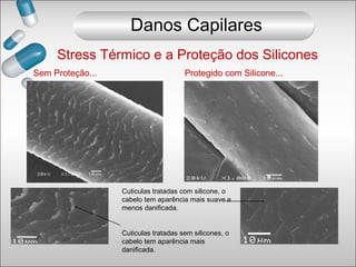 Stress Térmico e a Proteção dos Silicones
Sem Proteção... Protegido com Silicone...
Cuticulas tratadas com silicone, o
cabelo tem aparência mais suave e
menos danificada.
Cuticulas tratadas sem silicones, o
cabelo tem aparência mais
danificada.
Danos Capilares
 