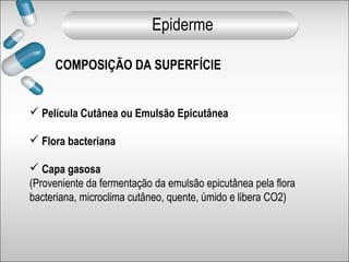 COMPOSIÇÃO DA SUPERFÍCIE
 Película Cutânea ou Emulsão Epicutânea
 Flora bacteriana
 Capa gasosa
(Proveniente da fermentação da emulsão epicutânea pela flora
bacteriana, microclima cutâneo, quente, úmido e libera CO2)
Epiderme
 