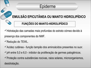 Hidratação das camadas mais profundas do estrato córneo devido à
presença dos componentes do NMF.
Redução do TEWL.
Acidez cutânea - função tampão dos aminoácidos presentes no suor.
pH entre 5,0 e 6,0 - inibidor da proliferação de germes patogênicos.
Proteção contra substâncias nocivas, raios solares, microorganismos,
desidratação.
FUNÇÕES DO MANTO-HIDROLIPÍDICO
EMULSÃO EPICUTÂNEA OU MANTO HIDROLIPÍDICO
Epiderme
 