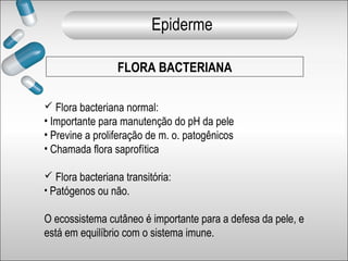 FLORA BACTERIANA
 Flora bacteriana normal:
• Importante para manutenção do pH da pele
• Previne a proliferação de m. o. patogênicos
• Chamada flora saprofítica
 Flora bacteriana transitória:
• Patógenos ou não.
O ecossistema cutâneo é importante para a defesa da pele, e
está em equilíbrio com o sistema imune.
Epiderme
 