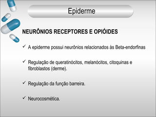 NEURÔNIOS RECEPTORES E OPIÓIDES
 A epiderme possui neurônios relacionados às Beta-endorfinas
 Regulação de queratinócitos, melanócitos, citoquinas e
fibroblastos (derme).
 Regulação da função barreira.
 Neurocosmética.
Epiderme
 