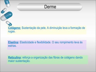 Colágeno: Sustentação da pele. A diminuição leva a formação de
rugas.
Elastina: Elasticidade e flexibilidade. O seu rompimento leva às
estrias.
Reticulina: reforça a organização das fibras de colágeno dando
maior sustentação.
Derme
 