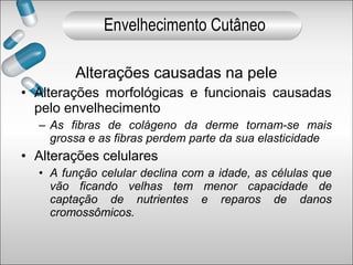 Alterações causadas na pele
• Alterações morfológicas e funcionais causadas
pelo envelhecimento
– As fibras de colágeno da derme tornam-se mais
grossa e as fibras perdem parte da sua elasticidade
• Alterações celulares
• A função celular declina com a idade, as células que
vão ficando velhas tem menor capacidade de
captação de nutrientes e reparos de danos
cromossômicos.
Envelhecimento Cutâneo
 