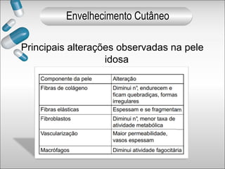 Principais alterações observadas na pele
idosa
Envelhecimento Cutâneo
 