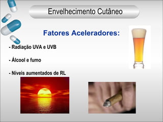Fatores Aceleradores:
- Radiação UVA e UVB
- Álcool e fumo
- Níveis aumentados de RL
Envelhecimento Cutâneo
 