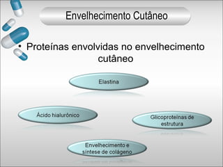 • Proteínas envolvidas no envelhecimento
cutâneo
Envelhecimento Cutâneo
 