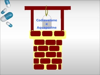 Codiavelane
e
Aquaporine
 