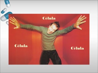 Célula
Célula
Célula
 