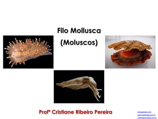 Profª Cristiane Ribeiro Pereira
Filo Mollusca
(Moluscos)
correiogourmand.com.br
amigosdojoe.com
www.sobiologia.com.br
 