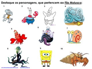 1 2 3 4
Destaque os personagens, que pertencem ao Filo Molusco:
5
6 7
8 109
pt-br.disneyclassicosshow.wikia.com www.bobesponja.org
 