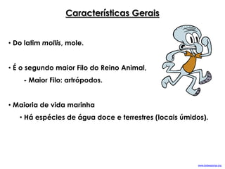 • Do latim mollis, mole.
• É o segundo maior Filo do Reino Animal,
- Maior Filo: artrópodos.
• Maioria de vida marinha
• Há espécies de água doce e terrestres (locais úmidos).
Características Gerais
www.bobesponja.org
 