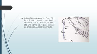  Linha Glabeloalveolar (LGA): Esta
linha é usada em uma incidência
de ossos nasais. Vai da Glabela
até um ponto na região anterior
do processo Alveolar da maxila.
 