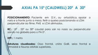 AXIAL PA 15º (CALDWELL) 20º A 30º
POSICIONAMENTO: Paciente em D.V., ou ortostática, apoiar o
nariz e a fronte junto a mesa, fletir o queixo posicionando a LOM
perpendicular ao filme. PMS e LCM alinhados.
RC.: 15º , 25º ou 30º caudal para sair no nasio ou perpendicular
saindo na glabela para o PA 0°.
DFF.: 1 metro
Estruturas visualizadas: Osso frontal, crista Galli, seios frontal e
etmoidal e fissuras orbitais superiores.
 