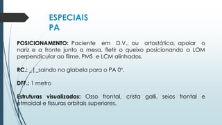 ESPECIAIS
PA
POSICIONAMENTO: Paciente em D.V., ou ortostática, apoiar o
nariz e a fronte junto a mesa, fletir o queixo posicionando a LOM
perpendicular ao filme. PMS e LCM alinhados.
RC.: _|_saindo na glabela para o PA 0°.
DFF.: 1 metro
Estruturas visualizadas: Osso frontal, crista galli, seios frontal e
etmoidal e fissuras orbitais superiores.
 