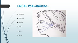 LINHAS IMAGINARIAS
 1-LGM
 2-LOM
 LIOM
 LAM
 LLM
 LAM
 