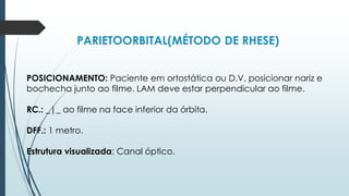 PARIETOORBITAL(MÉTODO DE RHESE)
POSICIONAMENTO: Paciente em ortostática ou D.V, posicionar nariz e
bochecha junto ao filme. LAM deve estar perpendicular ao filme.
RC.: _|_ ao filme na face inferior da órbita.
DFF.: 1 metro.
Estrutura visualizada: Canal óptico.
 
