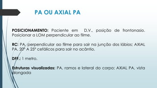 PA OU AXIAL PA
POSICIONAMENTO: Paciente em D.V., posição de frontonasio.
Posicionar a LOM perpendicular ao filme.
RC: PA, perpendicular ao filme para sair na junção dos lábios; AXIAL
PA, 20º A 25º cefálicos para sair no acântio.
DFF.: 1 metro.
Estruturas visualizadas: PA, ramos e lateral do corpo; AXIAL PA, vista
alongada.
 