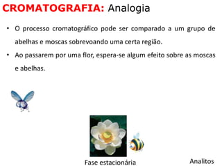 • O processo cromatográfico pode ser comparado a um grupo de
abelhas e moscas sobrevoando uma certa região.
• Ao passarem por uma flor, espera-se algum efeito sobre as moscas
e abelhas.
CROMATOGRAFIA: Analogia
Fase estacionária Analitos
 