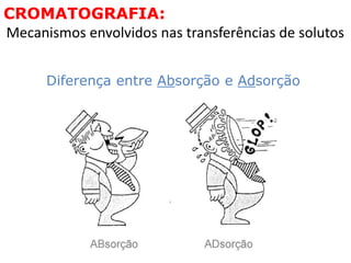 Diferença entre Absorção e Adsorção
CROMATOGRAFIA:
Mecanismos envolvidos nas transferências de solutos
 