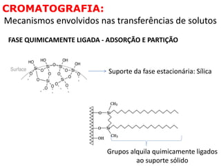 CROMATOGRAFIA:
Mecanismos envolvidos nas transferências de solutos
FASE QUIMICAMENTE LIGADA - ADSORÇÃO E PARTIÇÃO
Suporte da fase estacionária: Sílica
Grupos alquila quimicamente ligados
ao suporte sólido
 