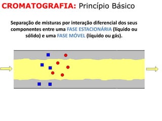 CROMATOGRAFIA: Princípio Básico
Separação de misturas por interação diferencial dos seus
componentes entre uma FASE ESTACIONÁRIA (líquido ou
sólido) e uma FASE MÓVEL (líquido ou gás).
 