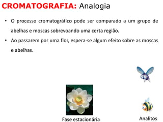 • O processo cromatográfico pode ser comparado a um grupo de
abelhas e moscas sobrevoando uma certa região.
• Ao passarem por uma flor, espera-se algum efeito sobre as moscas
e abelhas.
CROMATOGRAFIA: Analogia
Fase estacionária Analitos
 